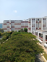 Blk 287 Ficus Vale (Yishun), HDB 3 Rooms #608006051